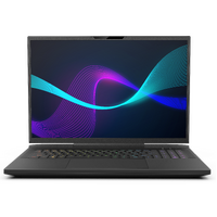 Infinity N7-13R9A-999 17.3" WQXGA 240Hz Core i9-13900HX 32GB RTX 4090 1TB Gaming Laptop