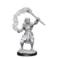 D&D Nolzurs Marvelous Unpainted Miniatures Firbolg Female Druid