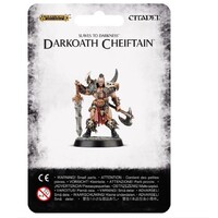 Warhammer Age of Sigmar: Slaves To Darkness Darkoath Chieftain