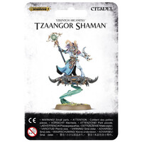 Warhammer Age of Sigmar: Tzeentch Arcanites Tzaangor Shaman