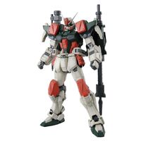 Gunpla MG 1/100 Buster Gundam