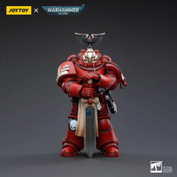 Warhammer Collectibles: 1/18 Scale Blood Angels Veteran Vigna