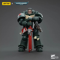 Warhammer Collectibles: 1/18 Scale Dark Angels Intercessors Brother Asharr