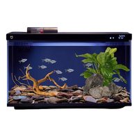 Xiaomi Mijia Fishtank Landscape - Anubias and Seiryu Stone