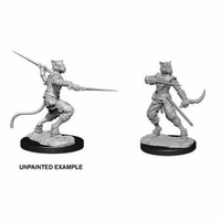 D&D Nolzurs Marvelous Unpainted Miniatures Male Tabaxi Rogue