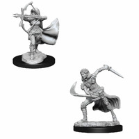 D&D Nolzurs Marvelous Unpainted Miniatures Air Genasi Female