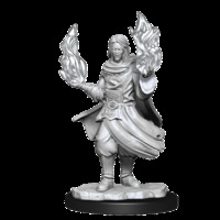 Critical Role Unpainted Miniatures Hollow One Rogue and Sorceror Male