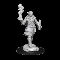 Critical Role Unpainted Miniatures Pallid Elf Rogue and Bard Male