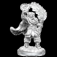 D&D Nolzurs Marvelous Unpainted Miniatures Elf Cleric Male