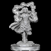 D&D Nolzurs Marvelous Unpainted Miniatures Dark Spellcaster & Flameskulls