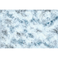 D&D Icons of the Realms Tundra Battle Mat