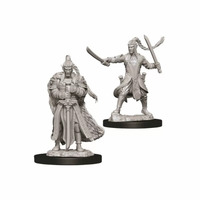 D&D Nolzurs Marvelous Unpainted Miniatures Male Elf Paladin